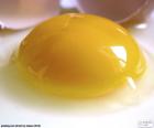 Κρόκο αυγού